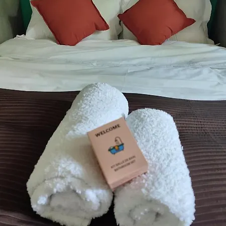 Chateau Saint-martin