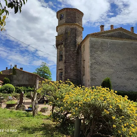 Bed & Breakfast Chateau Saint-martin 3*